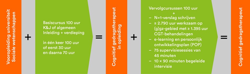 Schema modulaire opleiding cognitieve gedragstherapie