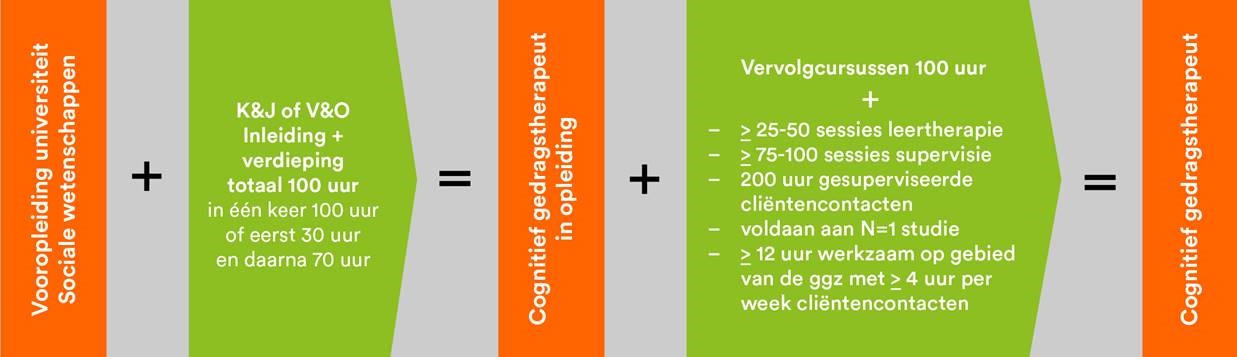 Schema opleiding cognitieve gedragtherapie